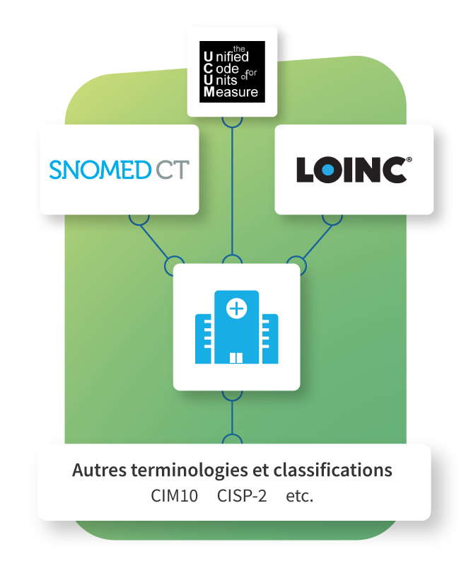 Visuel qui montre comment fonctionne le service de terminologie TIO